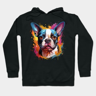 Boston Terrier Rainbow Hoodie